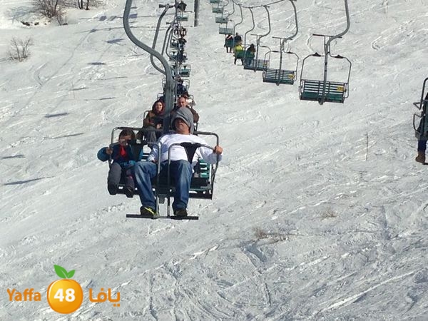 jabalelskheikhlud (33).JPG